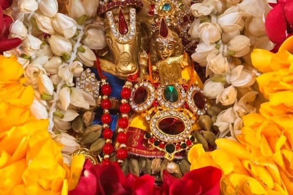 Shri Brahmathantra Swathantra Parakala Swami Jeeyar Thirunakshatram (Prakrutham) Apr 26 2025